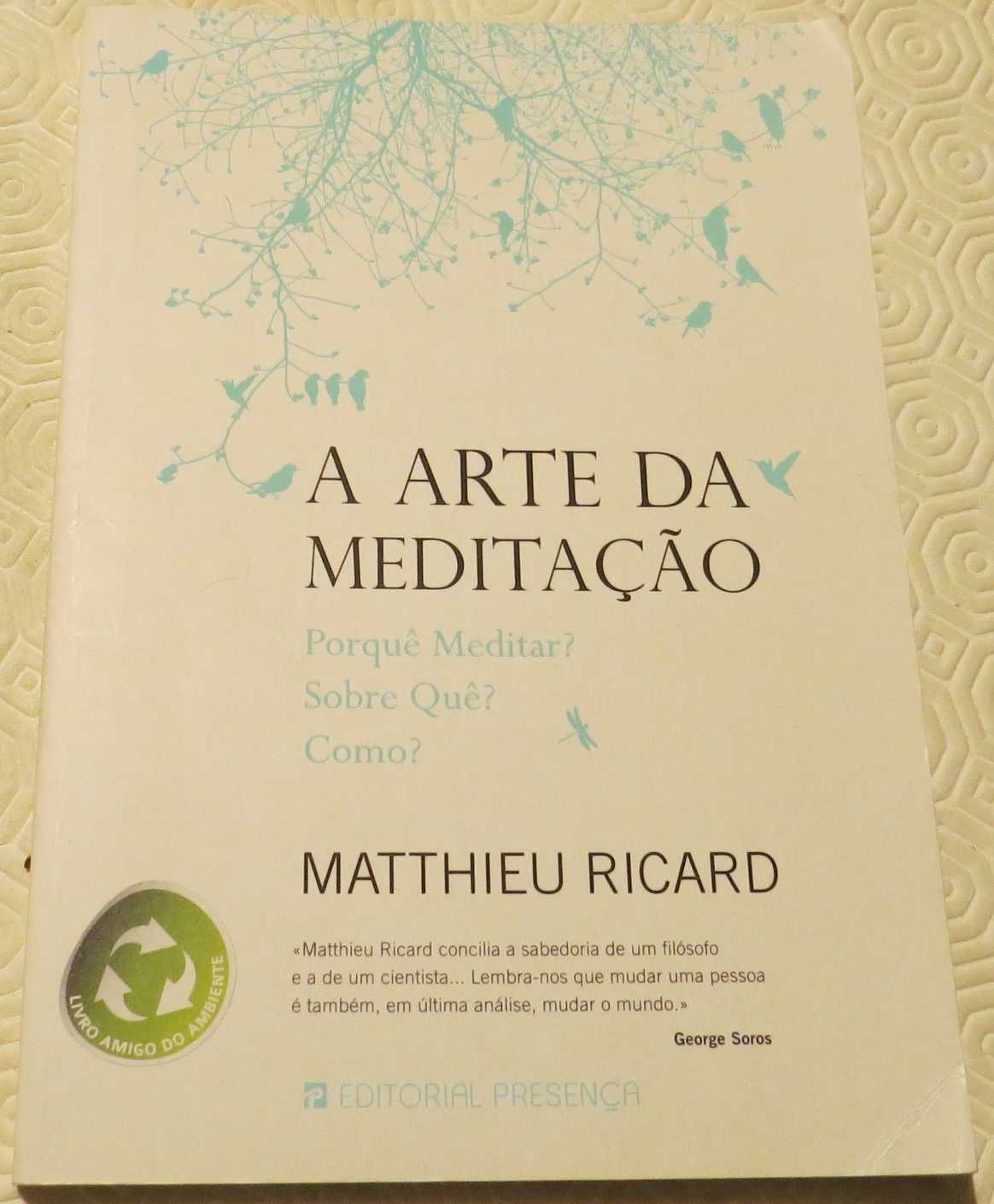 A arte da meditação/Afirmações positivas