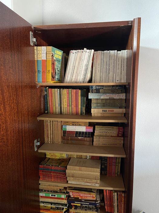 Varias coleções de livros antigos