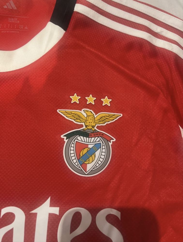 Camisola benfica 25/26