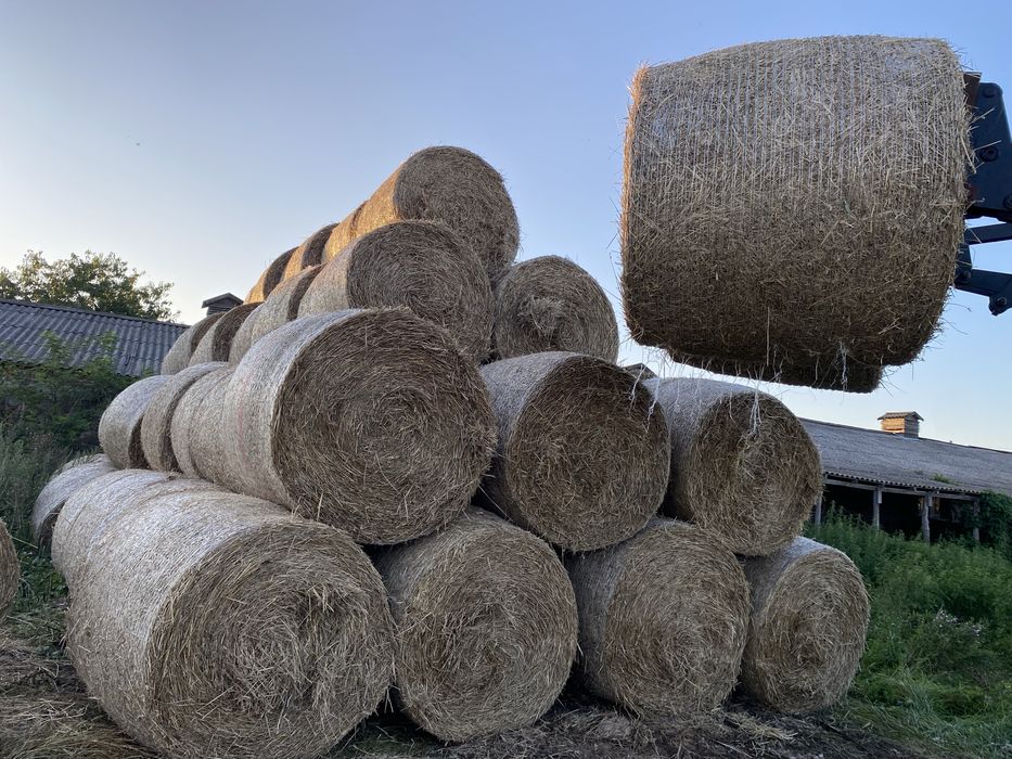 Солома пшенична і овсяна