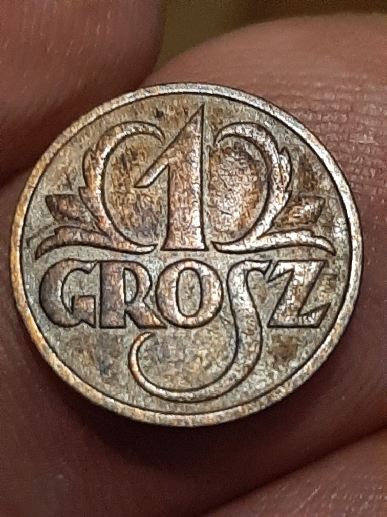 Monety groszowe z ll RP