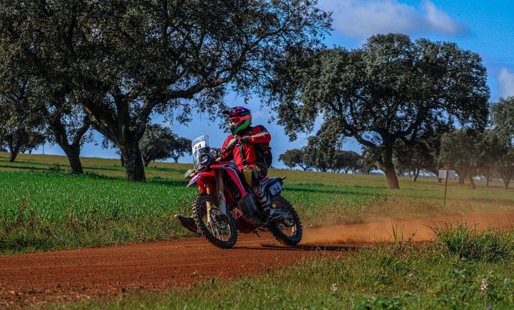 Honda CRF 250 L Rally (ano 2019)