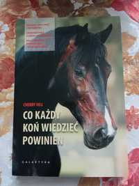 Co każdy koń wiedzieć powinien