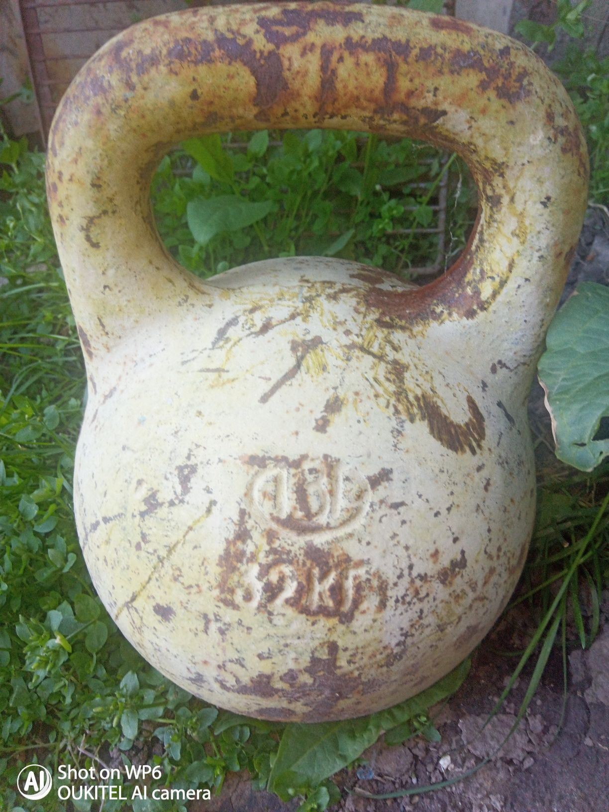 Гірі 2×32кг і 24кг