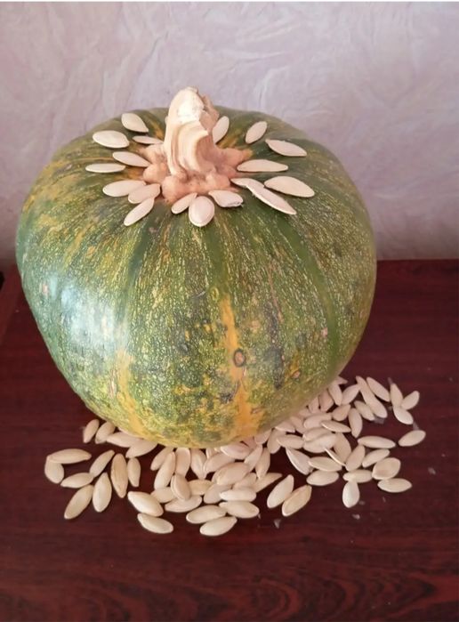 Продам гарбузове насіння сорту Турка