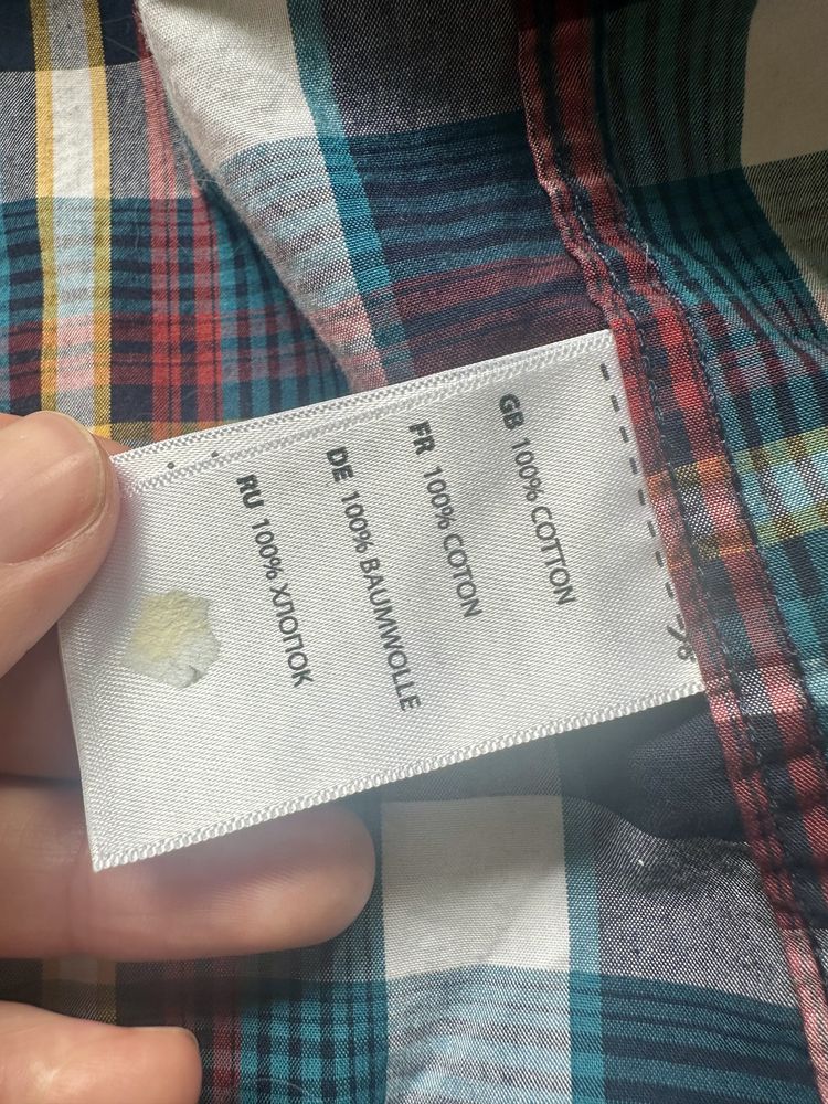 Męska koszula w kratę, plus size, 100% bawełna