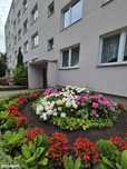 3 pok.+ Balkon / Spółdzielczo Własnościowe/ 0% Prowizji