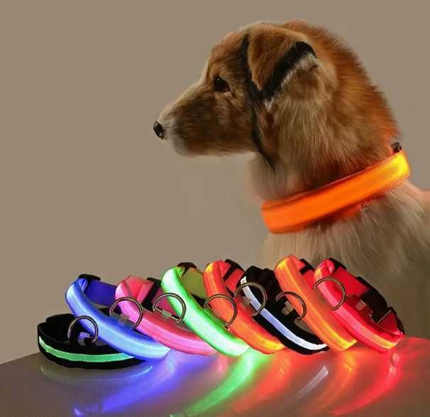 Świecąca Obroża dla Psa LED - ZIELONY L