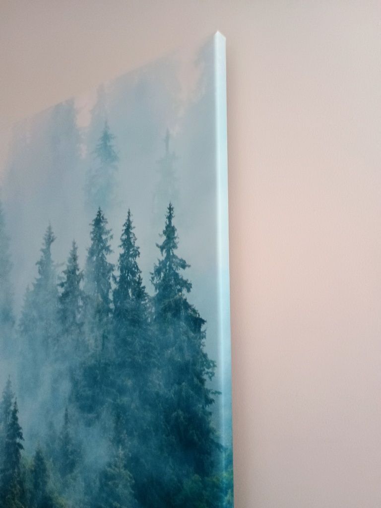 Obraz na płótnie las drzewa mgła 94x64