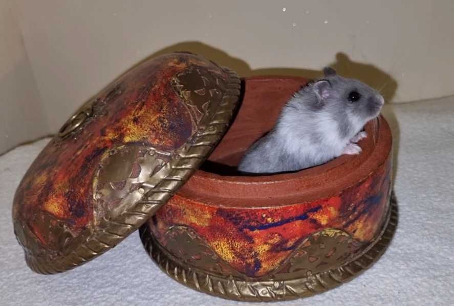 Винтажная старовинная шкатулка для ювелирных изделий из латуни, дерева