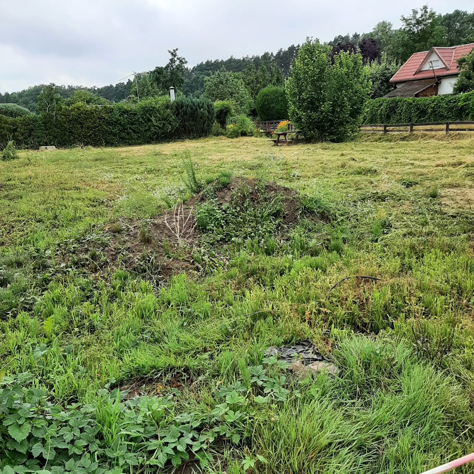 Rezerwacja .Działka ROD Lubniewice