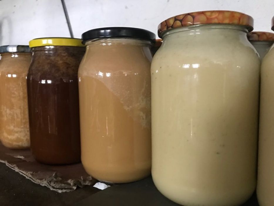 Miód naturalny z własnej pasieki. Różne rodzaje 1,3kg KOSZALIN