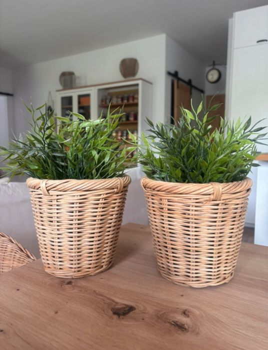 Ikea dwie doniczki boho rattan 12 cm Kaktusfikon