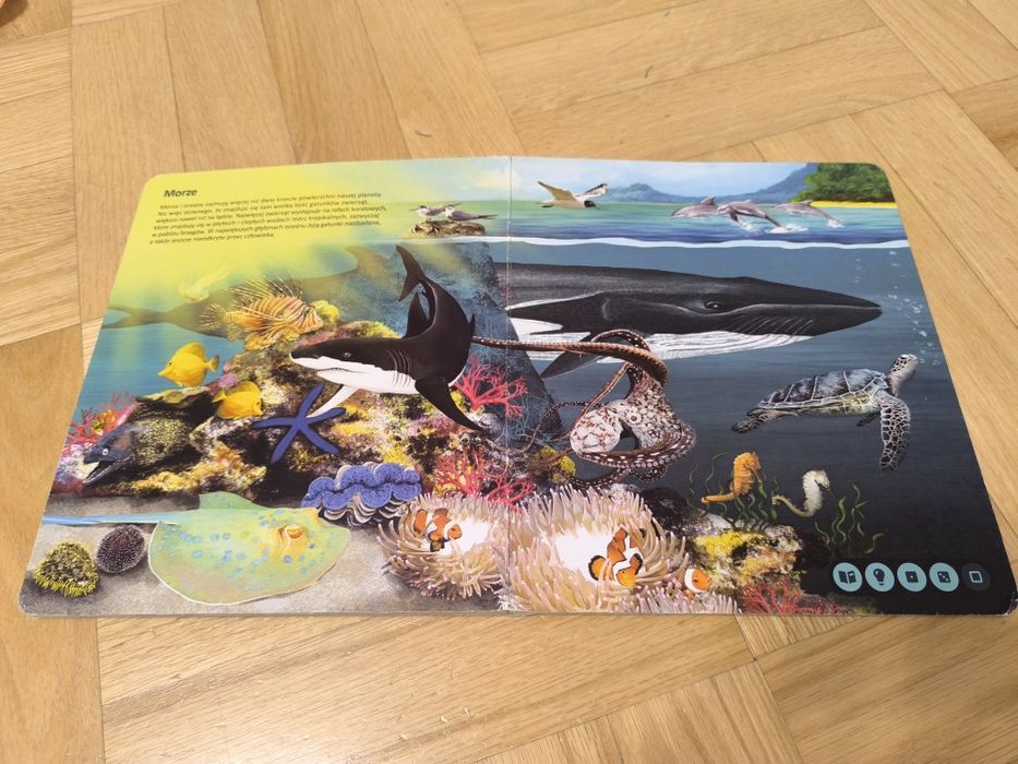 Albik Świat zwierząt