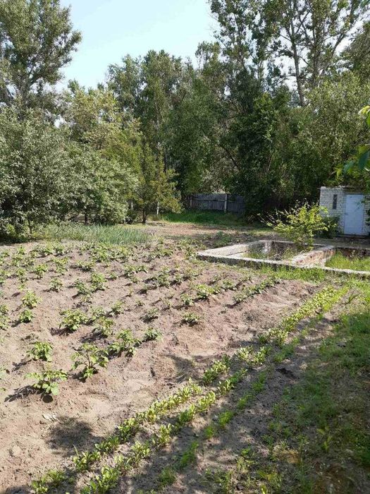 Ділянка 9 соток у садовому товаристві "Якір", приватизована RD