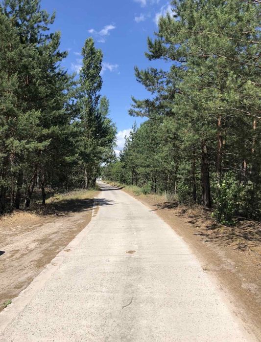 Продаж земельної ділянки село Ясногородка 22 га Вишгородсткого району