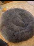 Cama puff para cão