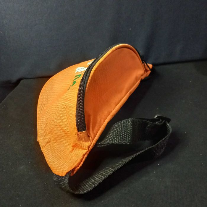 Bolsa cintura PSD eleições 2009