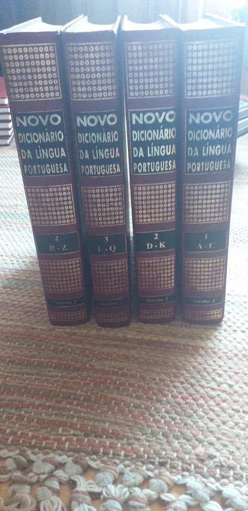 Dicionários de língua portuguesa