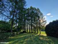 1,11 ha - Więcławice Dworskie, gm. Michałowice - budowlano-rolna