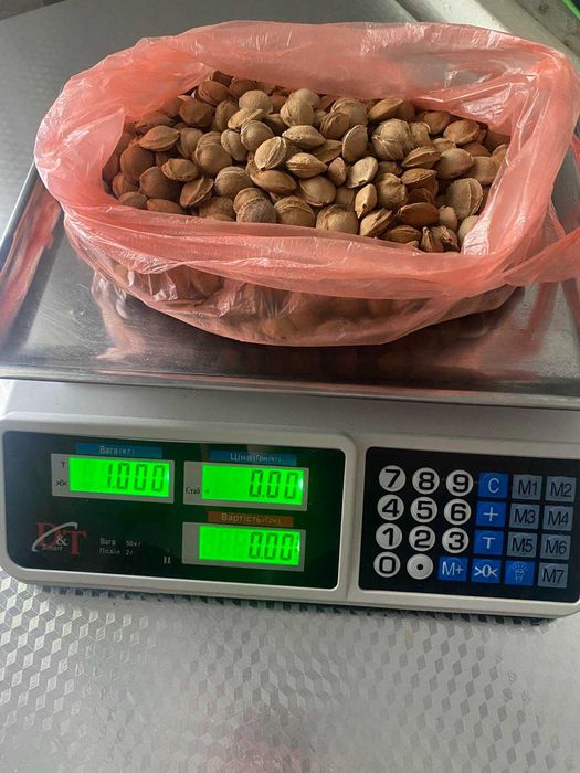 косточка алычи и абрикоса