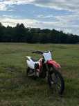 cross diabolini 250cc