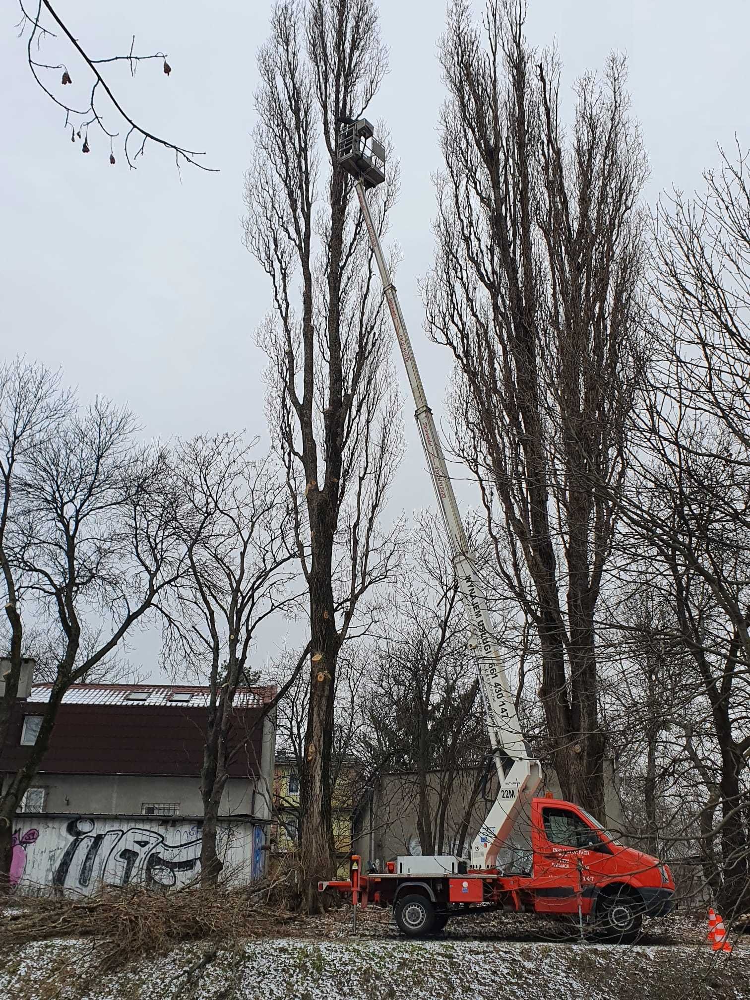 Podnośnik koszowy Warszawa, zwyżka, dźwig, wycinka drzew, wymiana lamp