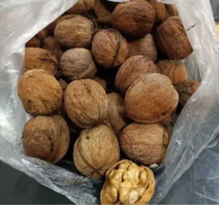 Ekologiczne orzechy włoskie 5 kg