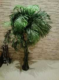 Palmeira decorativa