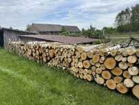 Brzoza, trochę olchy