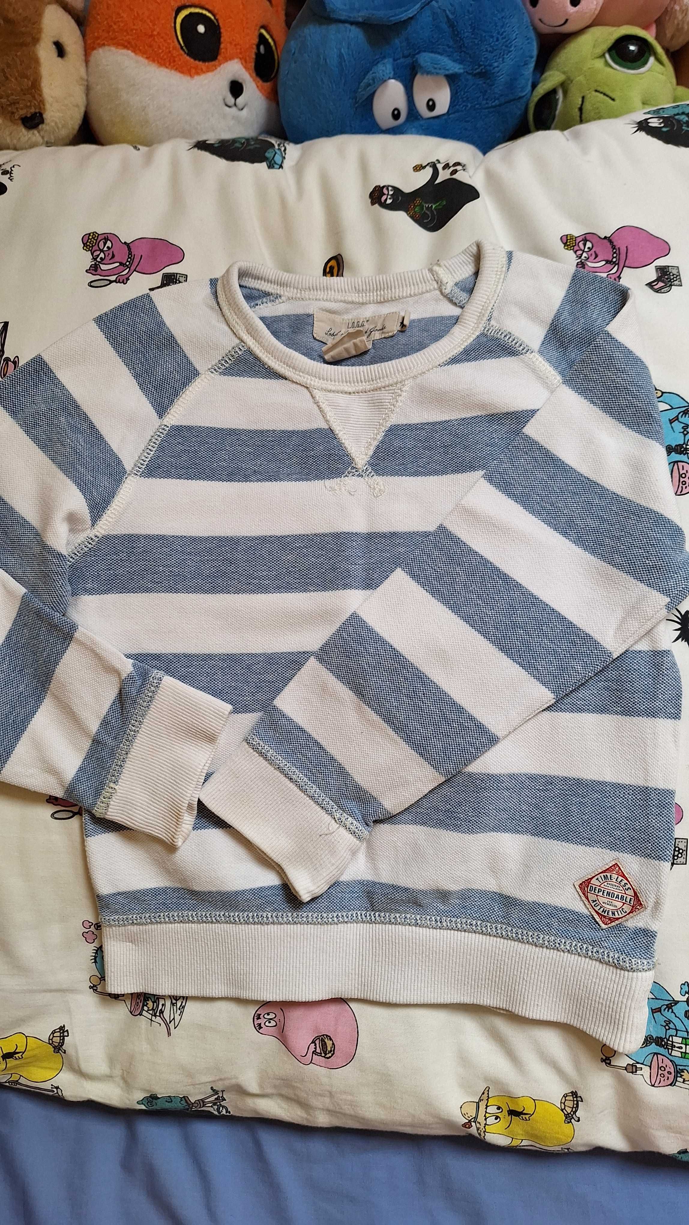 Bluza 110/116 H&M chłopiec 4-6 lat bawełna,paski