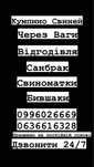 Свиней 100-200 кг, відгодівля, переростки.