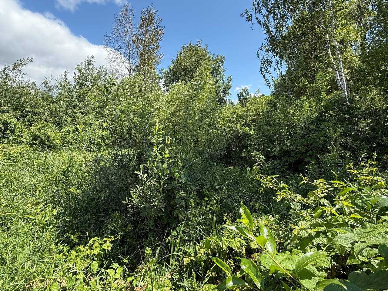 Продаж ділянки 12сот під забудову. Є охорона. Поряд ліс і озеро.ID:153