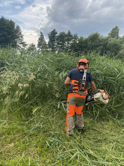Wycinka drzew, koszenie traw, przycinka krzewów, usługi rębakiem