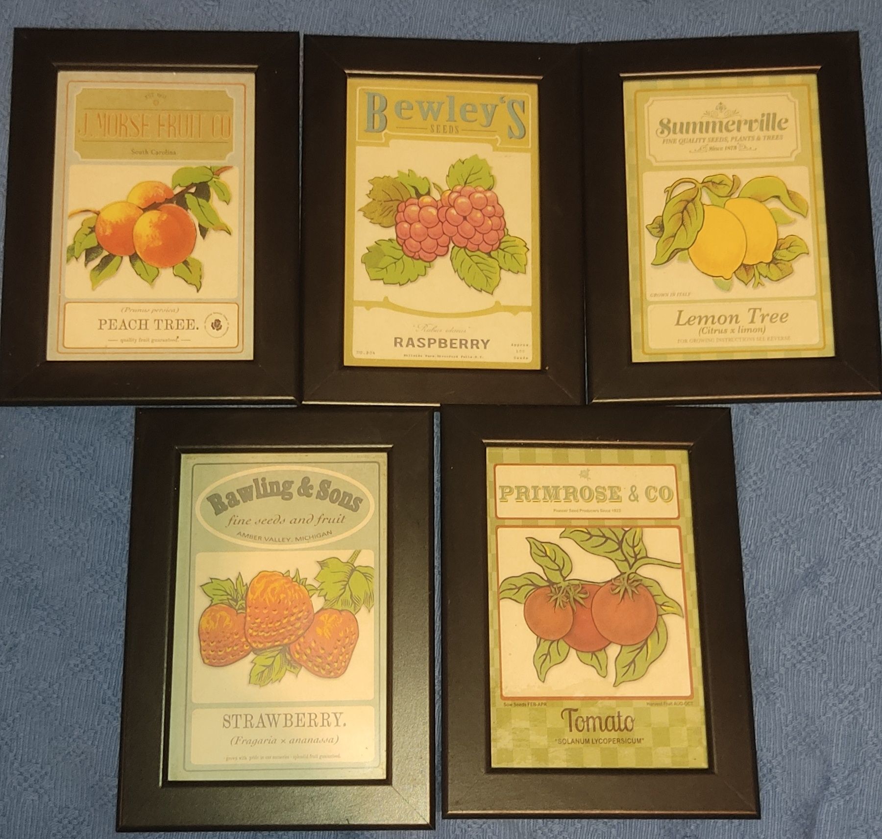 Quadros de coleção de frutas (preço para os 5)