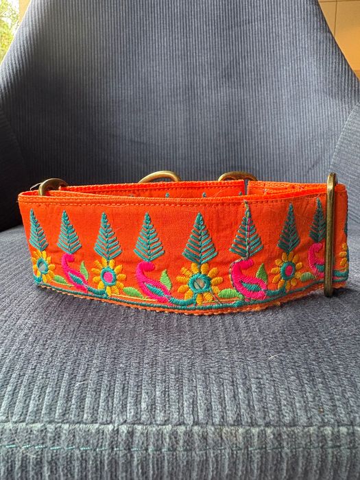 Obroża dla charta Saluki/whippet/chart Polski/ galgo