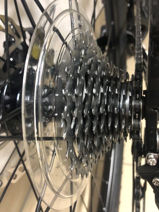 Rower gravel schwinn scree