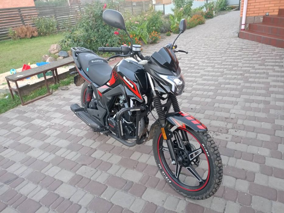 Musstang region mt 250