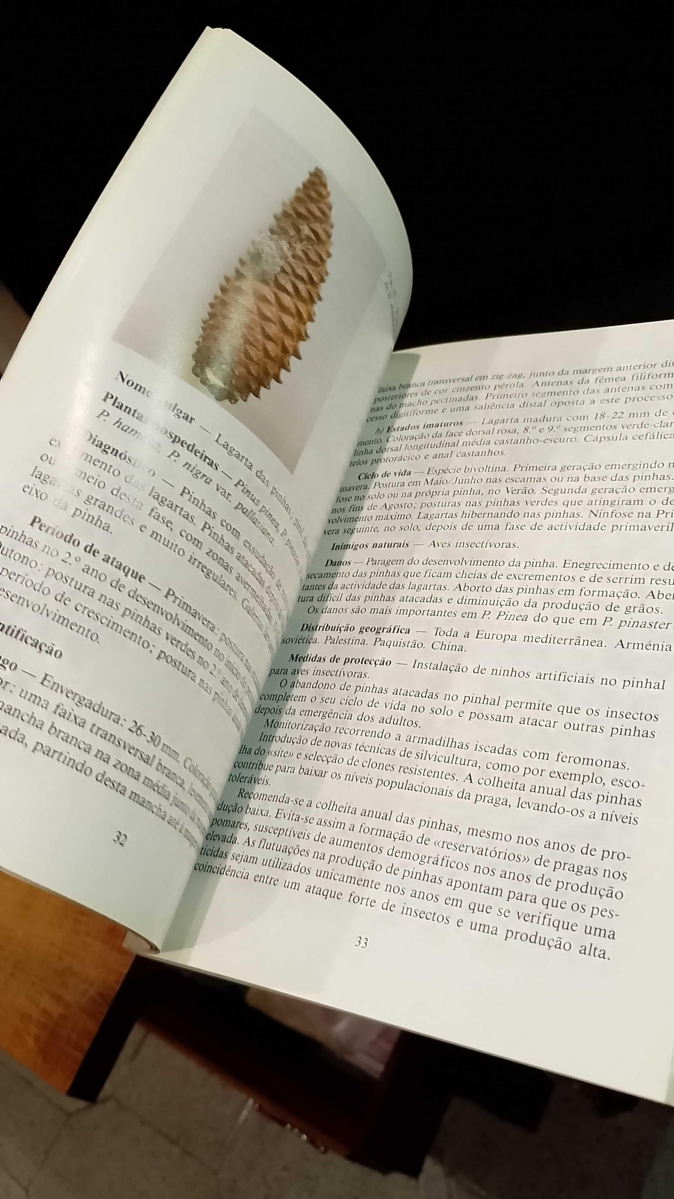 Pragas das Resinosas - M. C. Ferreira e G. W. S. Ferreira