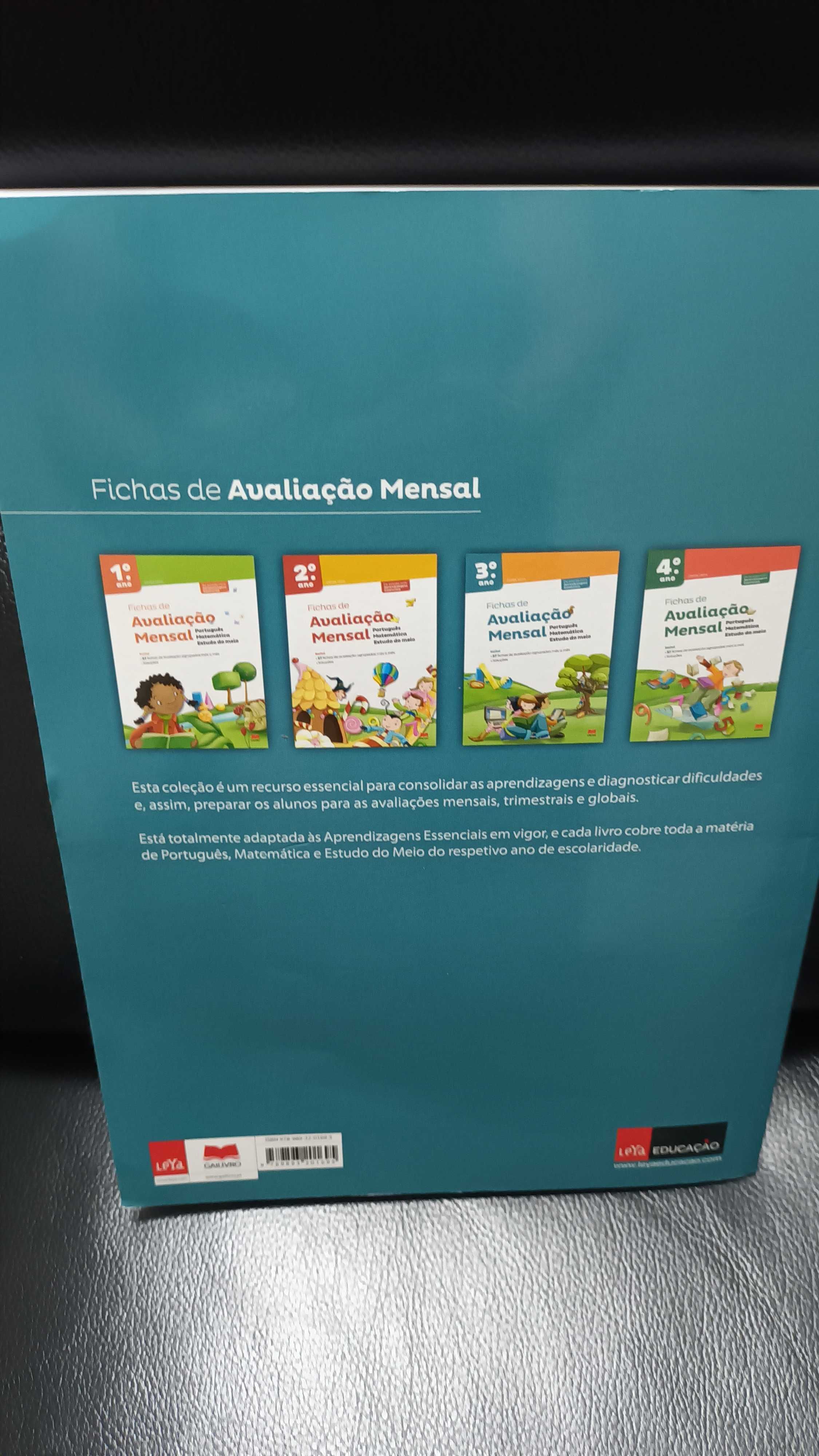 Fichas de avaliação mensal 3  ano