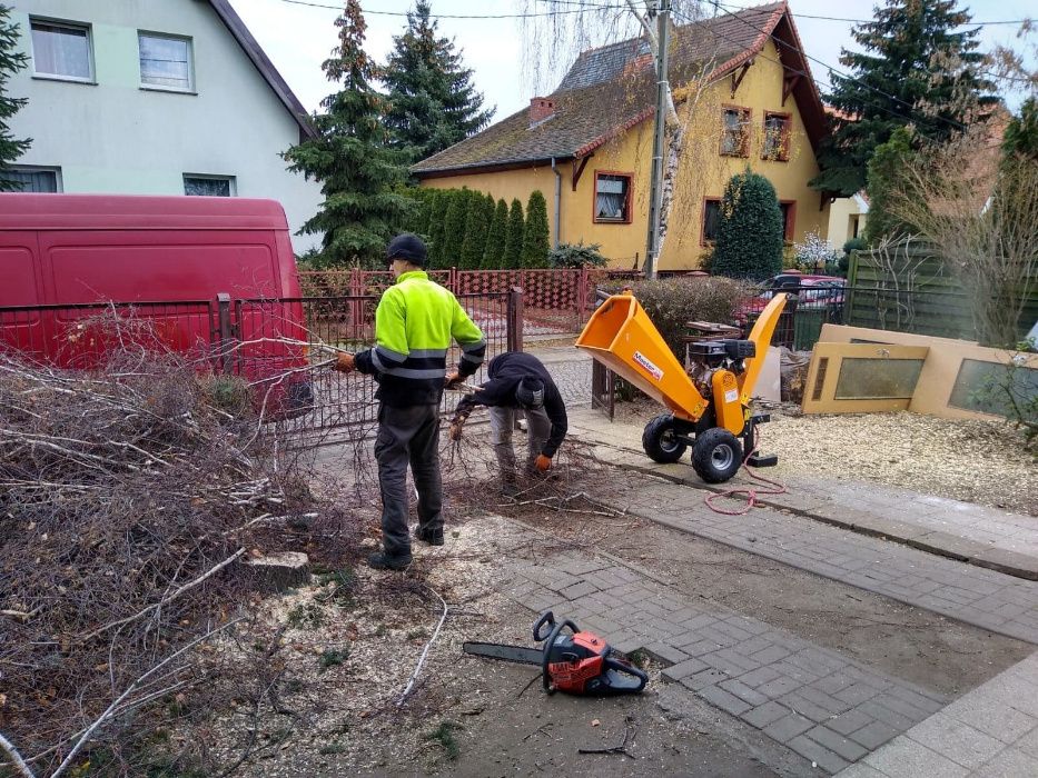 Usuwanie / frezowanie pni / usługi rębakiem / Przycinanie Drzew / wyci