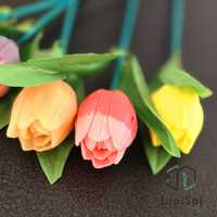 Tulipany mydlane