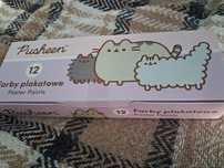 Farby plakatowe 12 kolorów motyw Pusheen wyprawka