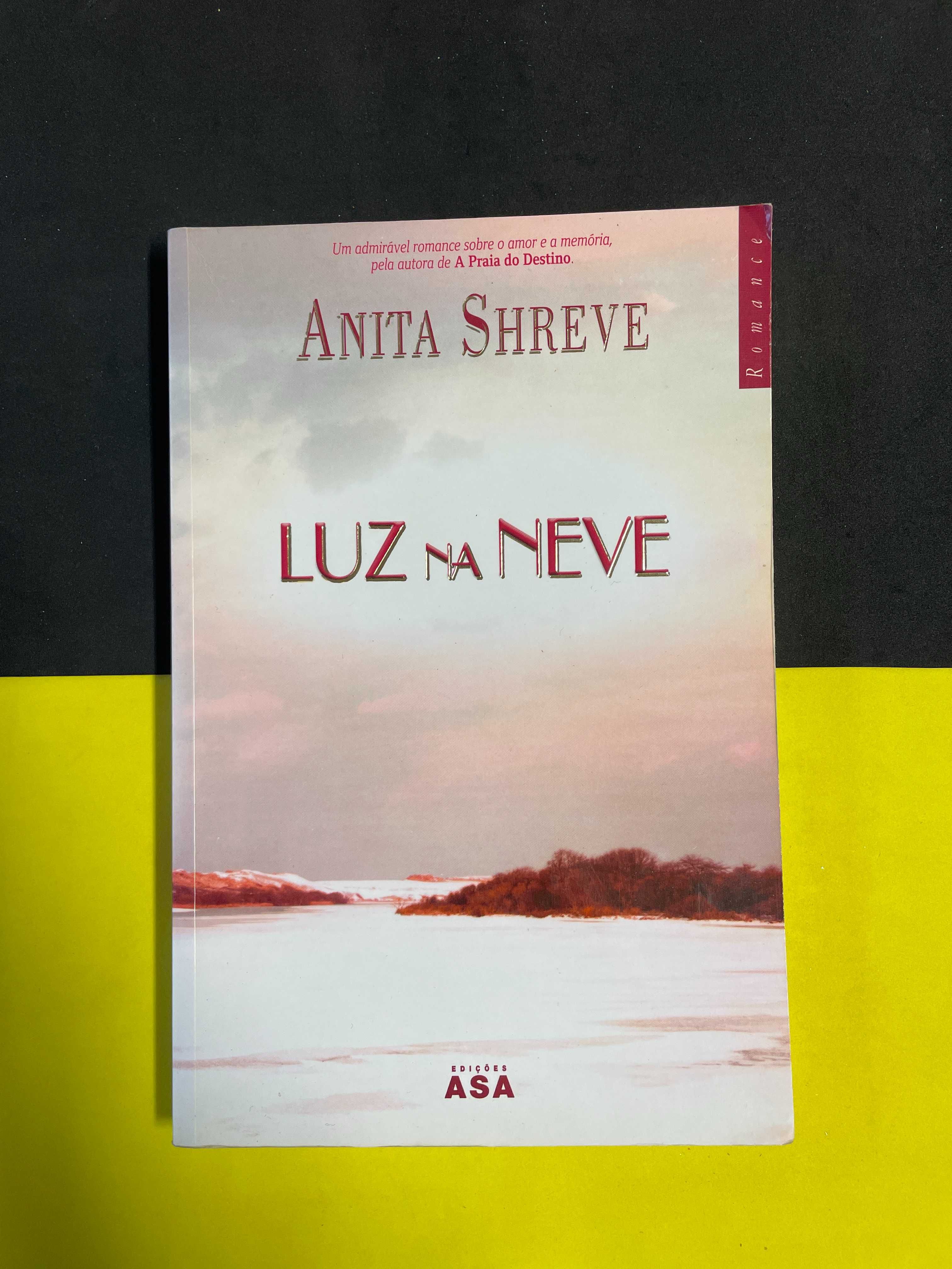 Anita Shreve - Luz na neve