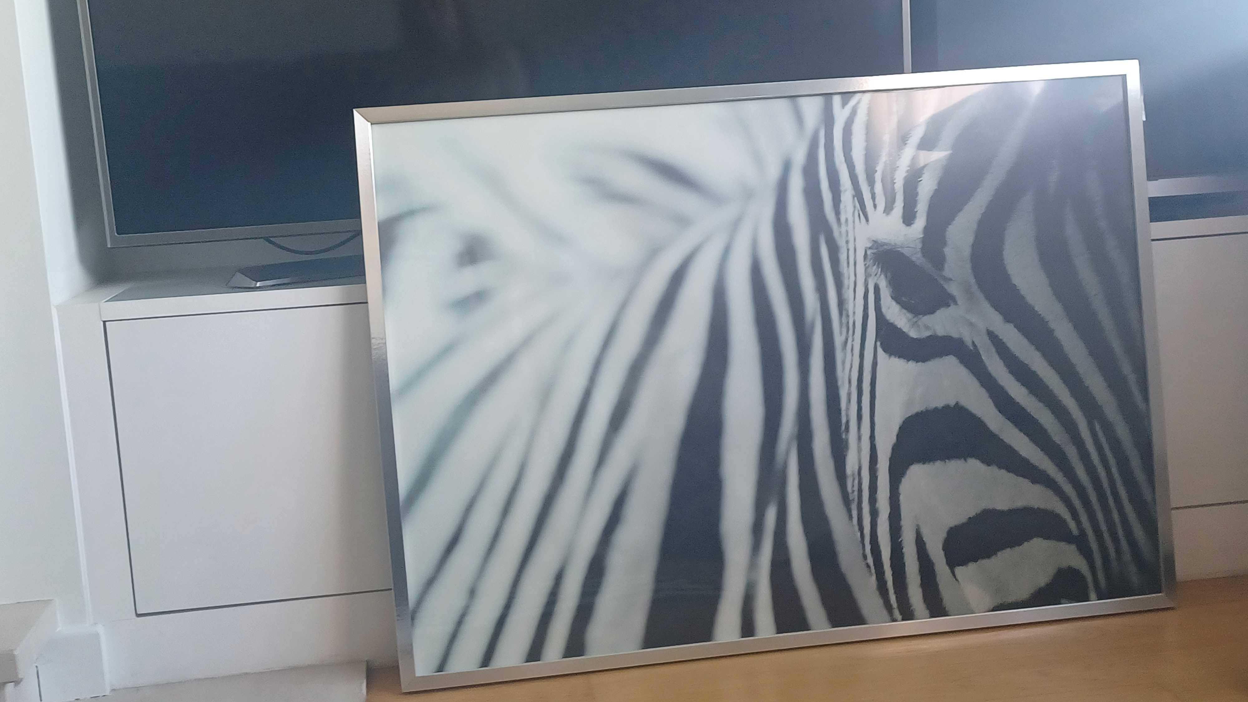 Tela zebra com moldura 1,2 metros por 70 cm