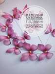 Вафельні метелики кондитерські на любий смак