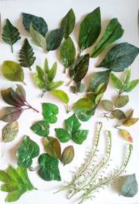 Штучне листя,штучна зелень,штучна травка,гілки,кущі.
Листя-1грн.