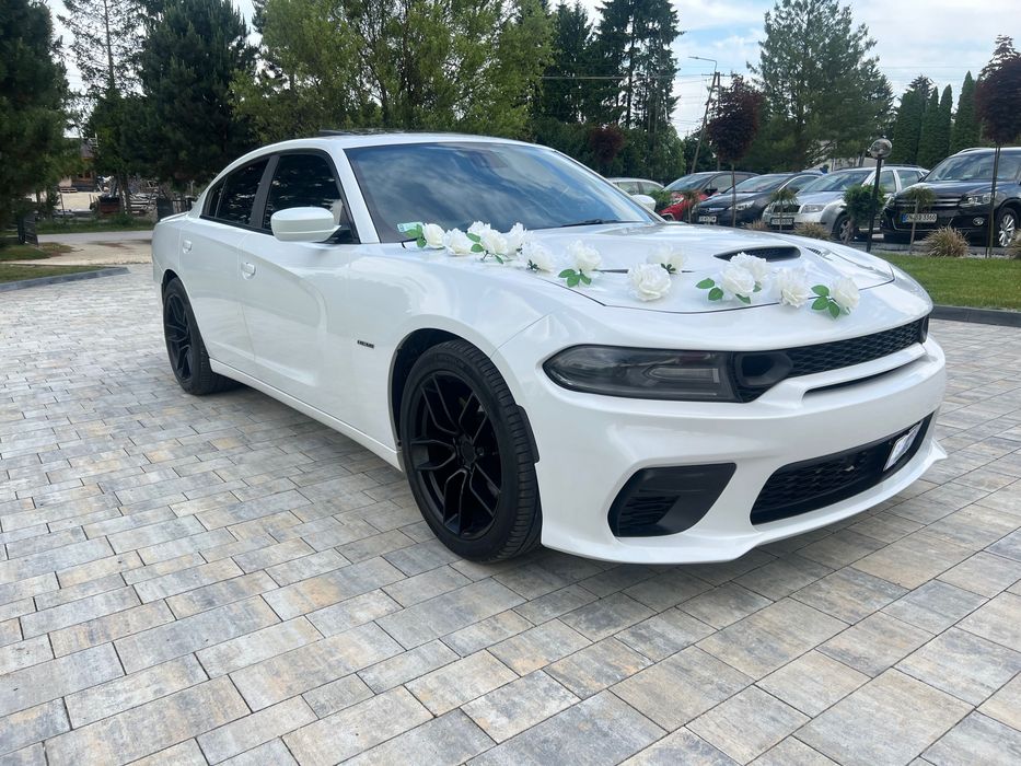 Auto do ślubu WOLNE TERMINY !!! Dodge Charger R/T 5.7 Hemi Biała perła
