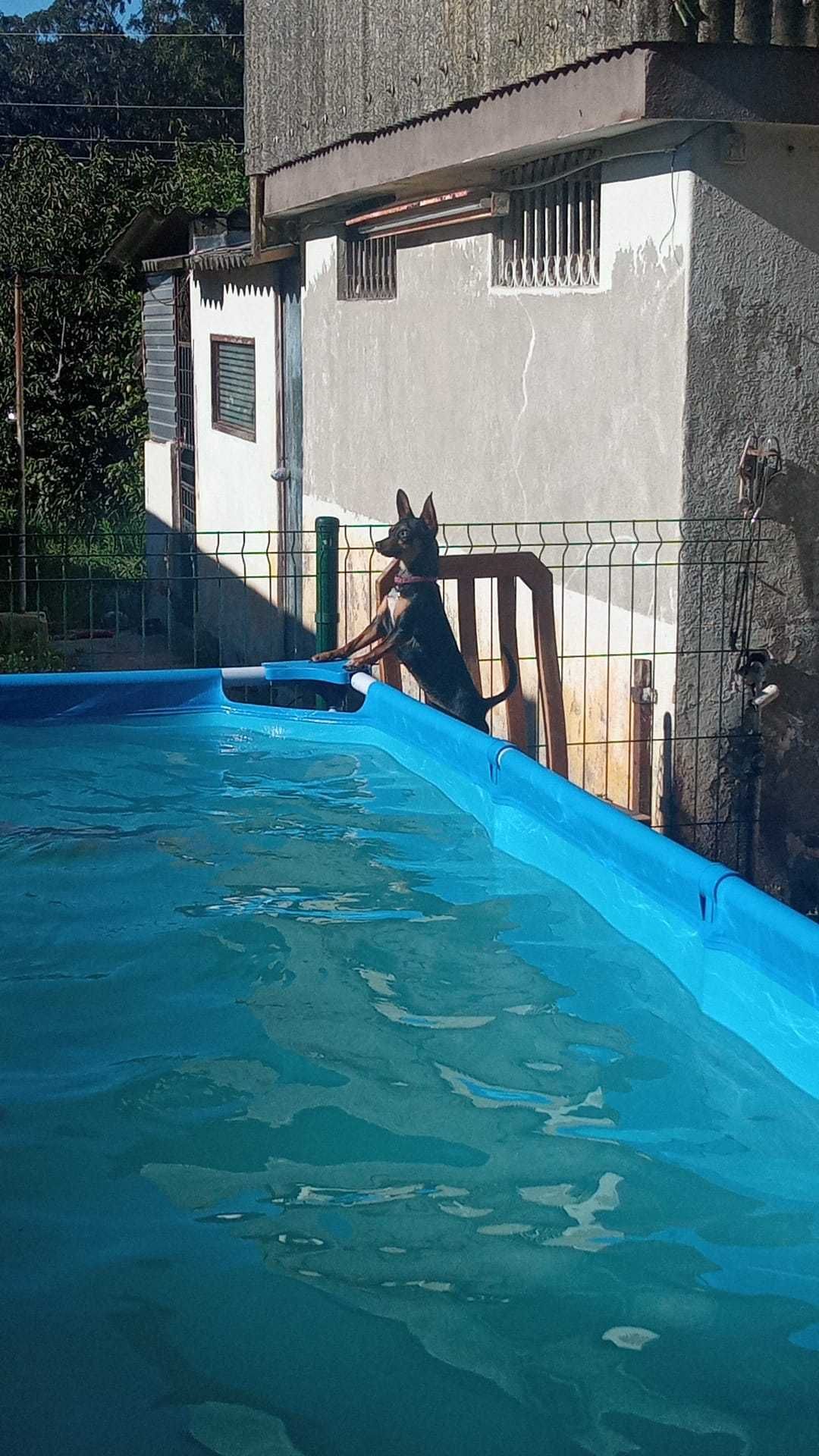 Piscina em bom estado