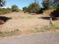 Terreno de cultivo em Repeses (Viseu)